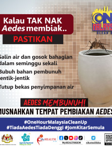 One Hour Malaysia Clean Up: Pembiakan Aedes di Kolah Air